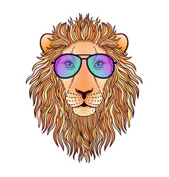 Lion Muzzle With Sunglasses