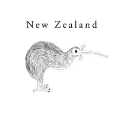 Graphics Symbol New Zealand Bird Kiwi