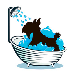 Dog Taking A Bath Animal Care