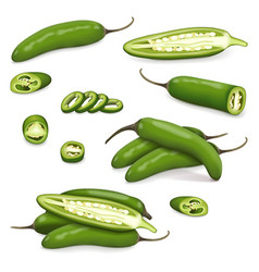 Set Of Green Serrano Chile Peppers