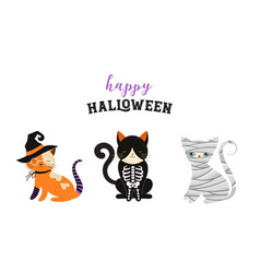 Happy halloween - cats and dogs in monsters Vector Image