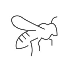 Bee Or Wasp Line Outline Icon