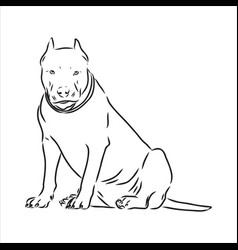 Sketch Drawing Pitbull Barking Pit Bull Terrier