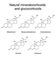 Structures Of Corticosteroid Hormones