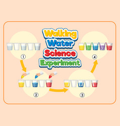 Walking Water Science Experiment