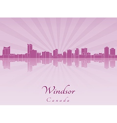 Windsor Skyline In Radiant Orchid