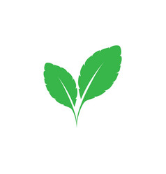 Mint Leaves Icon Logo Template