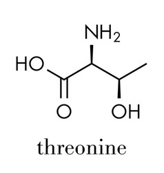 Threonine L-threonine Thr T Amino Acid Molecule