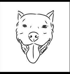 Sketch Drawing Pitbull Barking Pit Bull Terrier