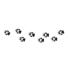 Wolf Paws Animal Paw Prints Different