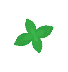 Mint Leaves Icon Logo Template