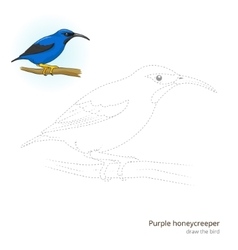 Purple Honeycreeper Draw