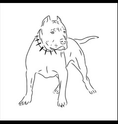 Sketch Drawing Pitbull Barking Pit Bull Terrier