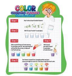 Color Changing Flowers Science Experiment