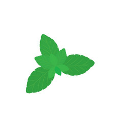 Mint Leaves Icon Logo Template