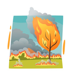 Forest Fire Composition