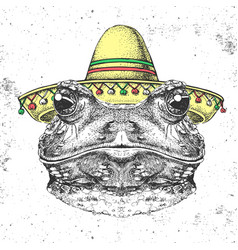 Hipster Animal Frog Wearing A Sombrero Hat