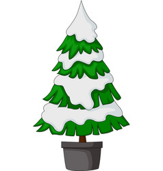 Christmas Tree On White Background