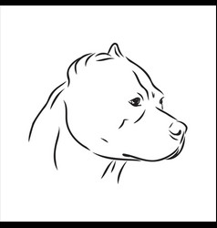 Sketch Drawing Pitbull Barking Pit Bull Terrier