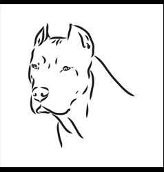 Sketch Drawing Pitbull Barking Pit Bull Terrier