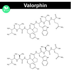 Valorphin Biochemical Compound Opioid Peptide