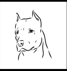 Sketch Drawing Pitbull Barking Pit Bull Terrier