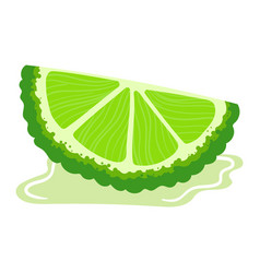 Organic Citrus Green Fruit Slice Isolated On