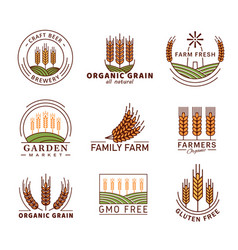 Cereal Icons Wheat Ear Spike Barley Rye Millet