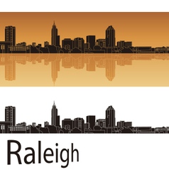 Raleigh Skyline