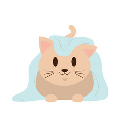 Cute Cat Design