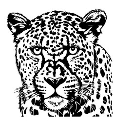 Portrait Of Leopard