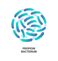 Propionibacterium Probiotic Bacteria Good