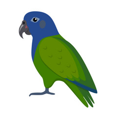 Pionus Parrot Icon In Flat Style