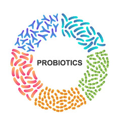 Probiotics Good Microorganisms Bifidobacterium