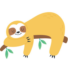 Sloth Sleeping On Tree