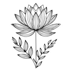 Outline Water Lily Drawing Tattoo