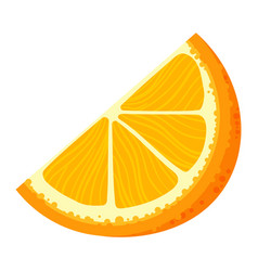 Orange Citrus Slice Fresh Fruit Isolated On White