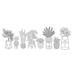 Set Of Houseplants Outline Drawings Art