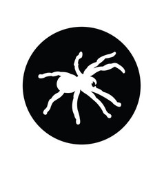 Tarantula Icon