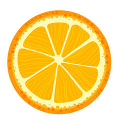 Fresh Orange Slice Organic Citrus Fruit With