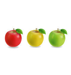 Red Yellow And Green Apples Realistic Set