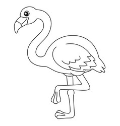 Flamingo Coloring Page Isolated For Kids