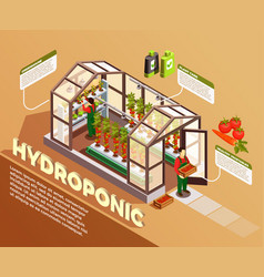 Hydroponic Isometric Composition