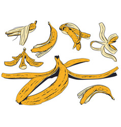 Set Banana Peel Stock