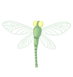 Green Dragonfly With Big Yellow Eyes Flat