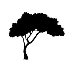 African Tree Silhouette