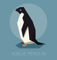 Flat Adelie Penguin