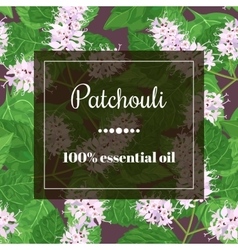 Patchouli Essential Oil