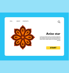 Anise Star Icon