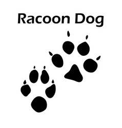 Racoon Dog Footprint